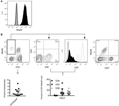 NCR1 Expression Identifies Canine Natural Killer Cell Subsets with Phenotypic Similarity to Human Natural Killer Cells